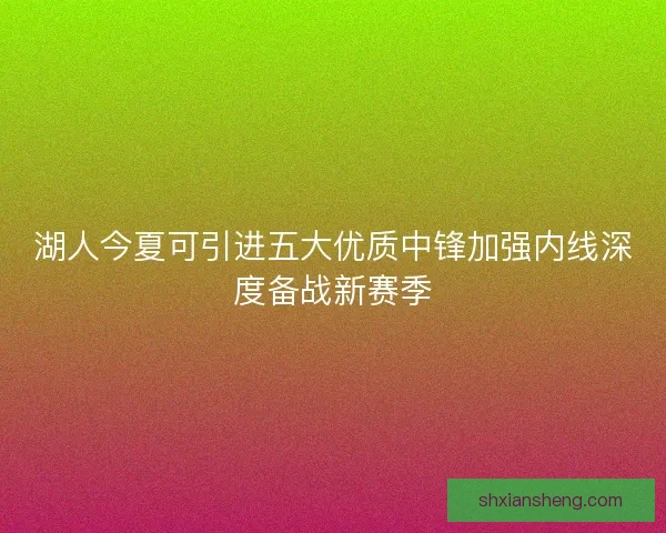 湖人今夏可引进五大优质中锋加强内线深度备战新赛季